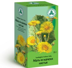 Мать-и-мачехи листья